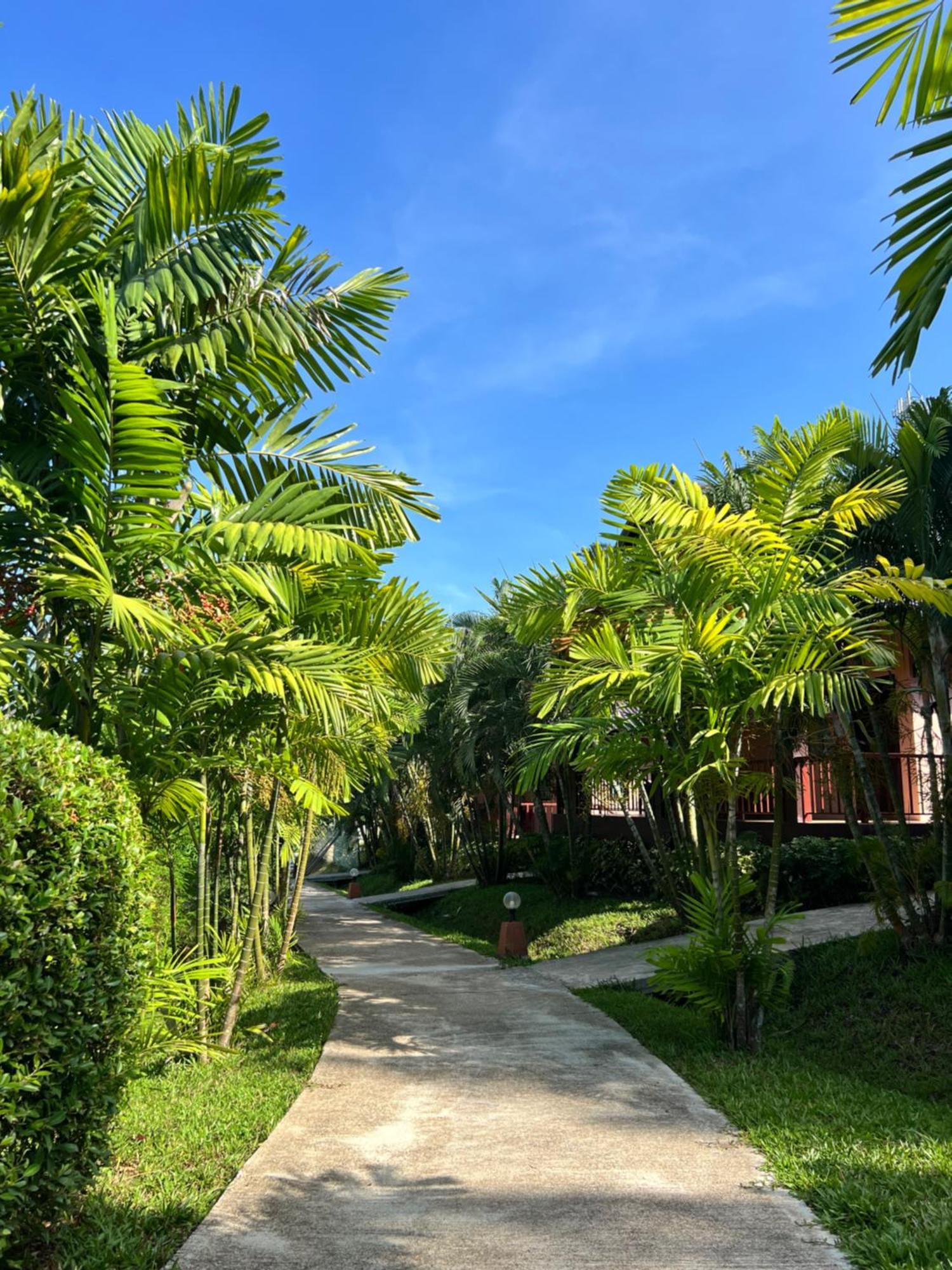 Palm Kiri Aonang 3*