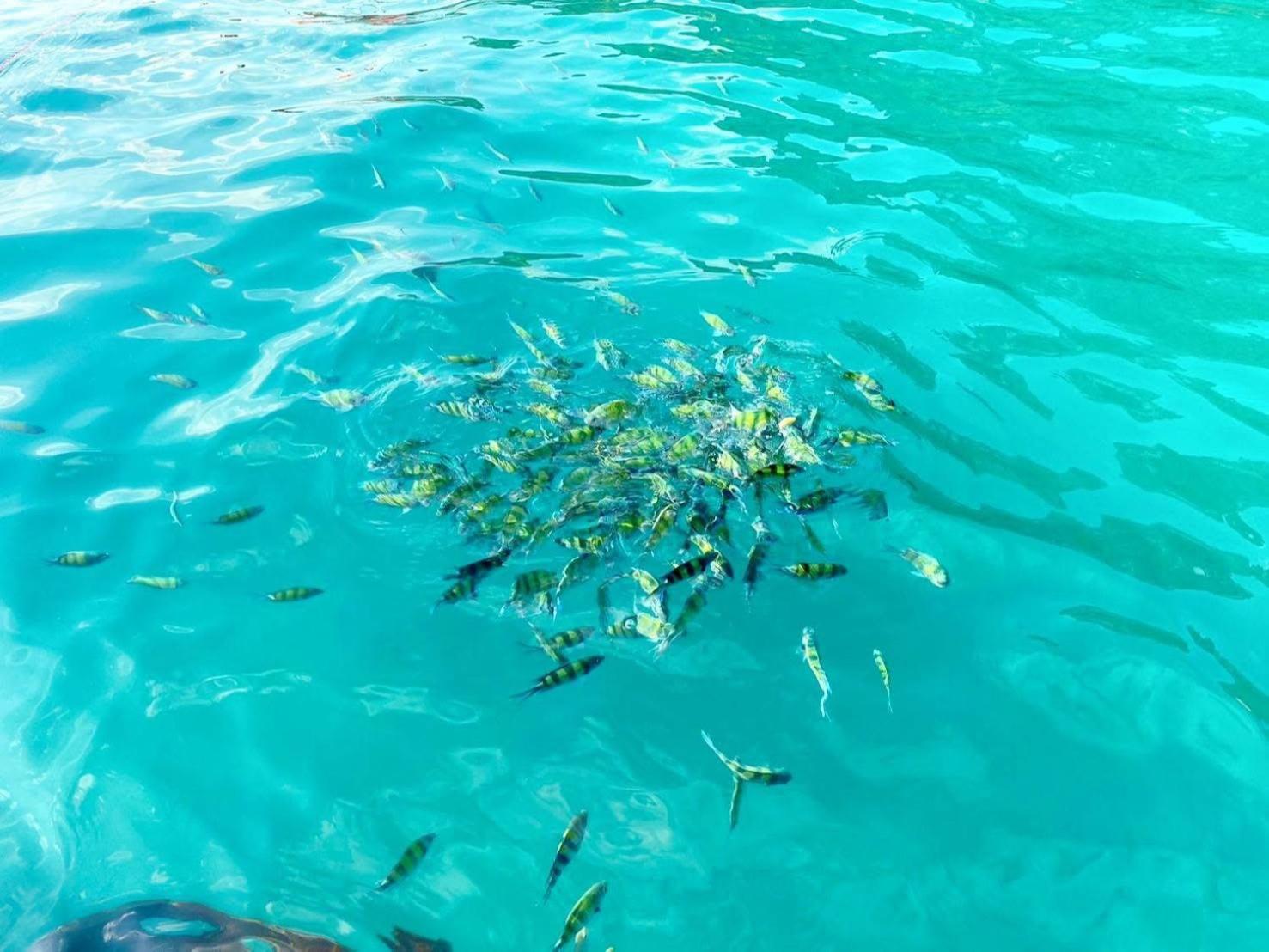 Palm Kiri Aonang 3* Ao Nang